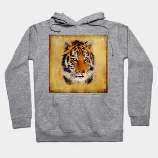 The Tiger Stare / Watercolour Art Hoodie